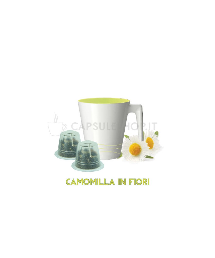 capsule compatibili nespresso passione 88 camomilla in fiori